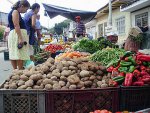 Seguridad Alimentaria