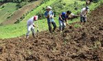 Agricultura limpia