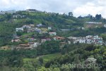 un añi manizales mas