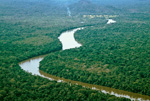 amazonas