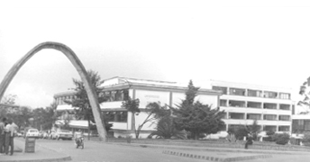 palogrande